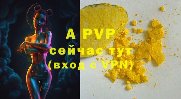 спиды Беломорск