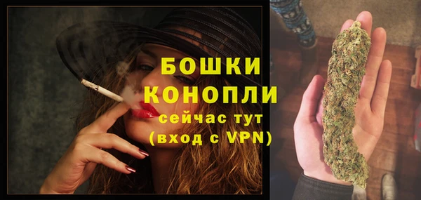 прущий лед Белокуриха