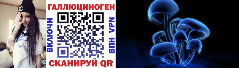 мега ТОР Малоярославец Псилоцибиновые грибы прущие грибы